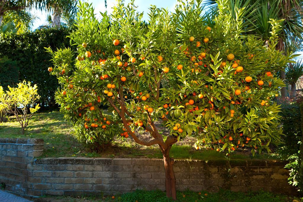 Aquilamaior Tragliata Exterior foto